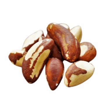 Castanha Do Para Inteira 500g Premium